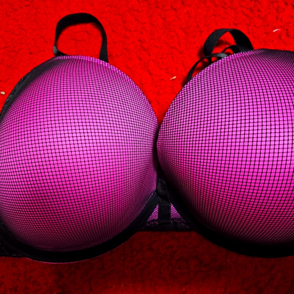 Torrid bra